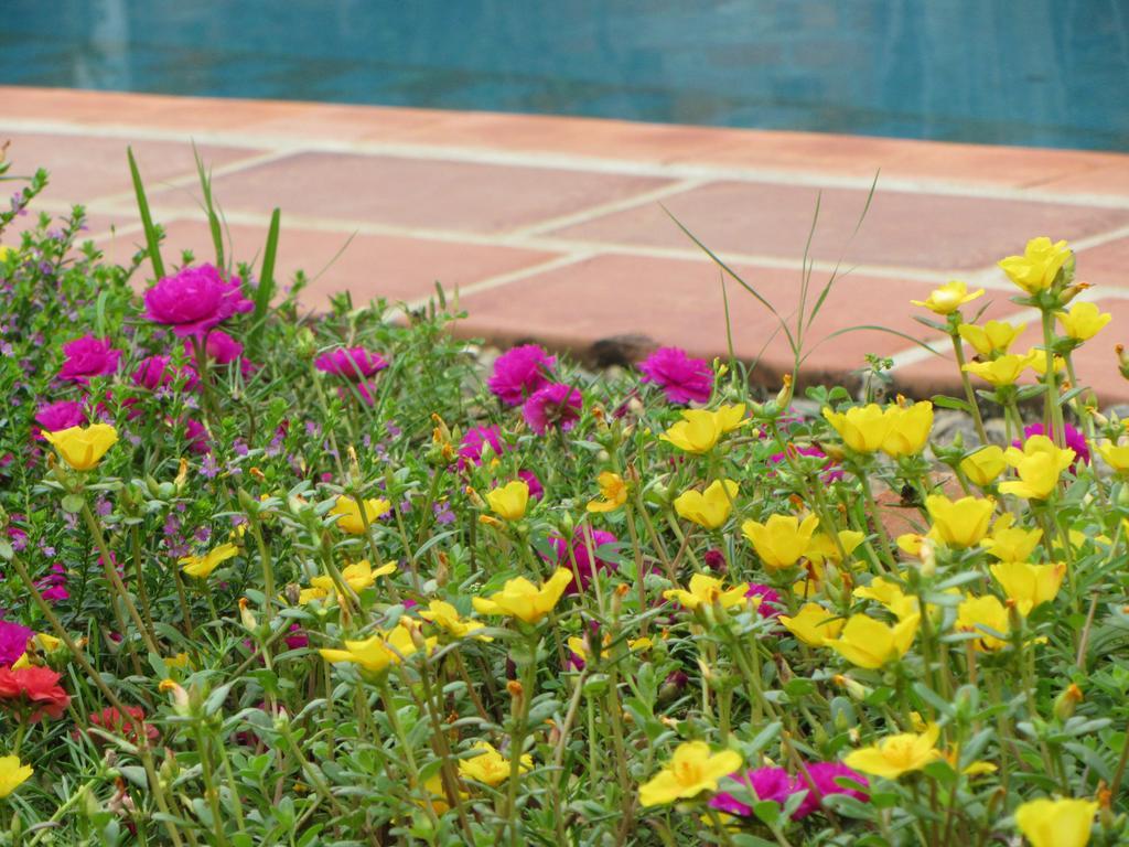 مبيت وإفطار Zacualpan La Colorada المظهر الخارجي الصورة